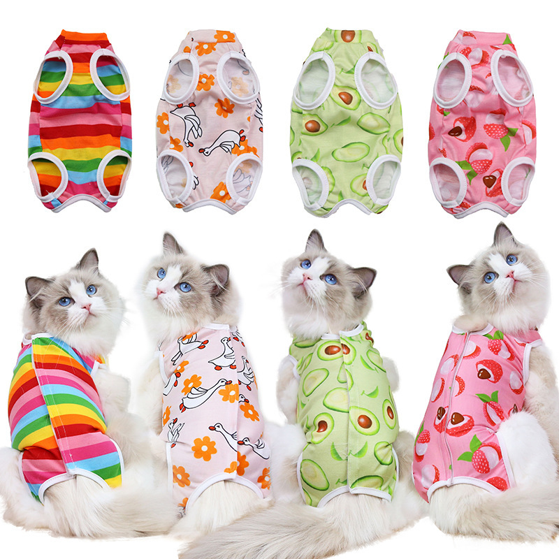 Cat Clothes Fruit Four Seasons Pet Clothing Supplies Small and Medium-sized Dogs Clothes Sterilization Clothing Anti-licking